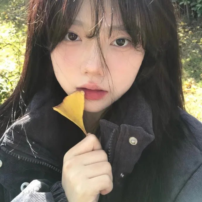 吾辈本如斯